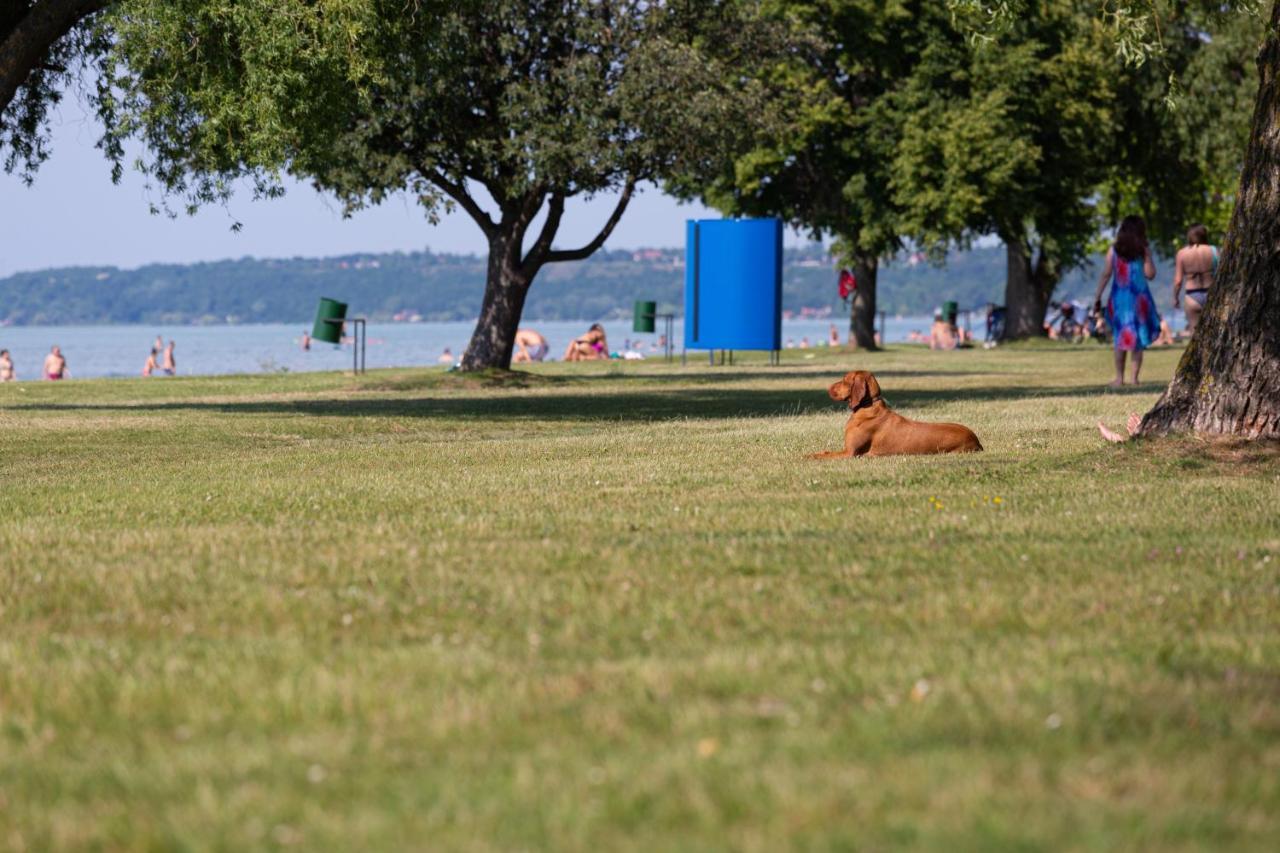 Aranypart Camping & Apartments Сиофок Екстериор снимка
